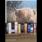 Whisky verzameling +/- 70 flessen